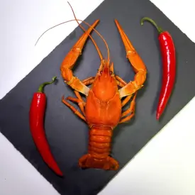 Раки вареные отборные (80-100 г), 1 кг.